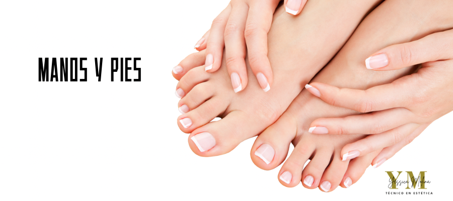 manos-y-pies-en-el-apartado-estetica-en-centro-de-belleza-dori-en-motril Manos y pies del apartado de estética de Centro de Belleza Dori en Motril (Granada)